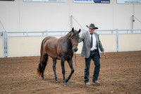 2020 - AB Morgan Horse - Sat, Sept 05 - 00143