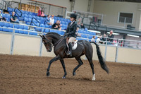 2020 - AB Morgan Horse - Fri, Sept 04 - 05806