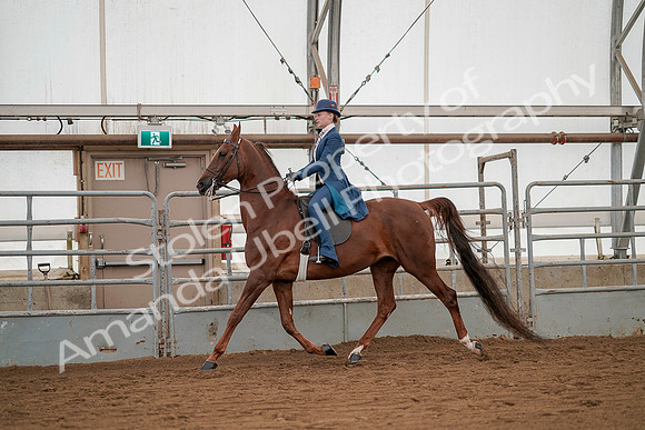 July 20, 2019 - 02125