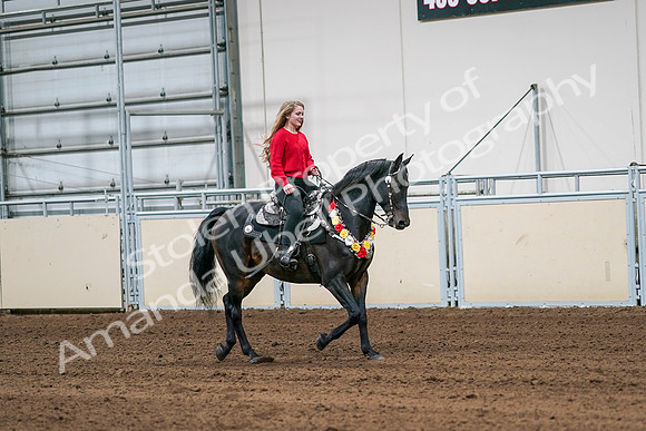 2020 - AB Morgan Horse - Sat, Sept 05 - 10463