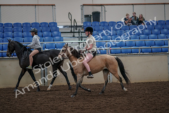 2019 Morgan Horse Show - Aug 30, 2019 - 31225