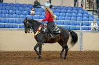 2020 - AB Morgan Horse - Sat, Sept 05 - 10362