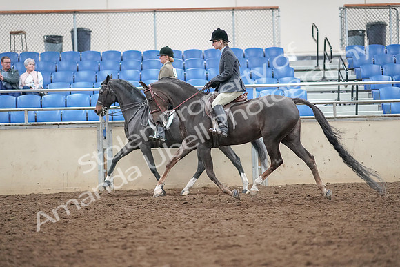 2019 Morgan Horse Show - Aug 30, 2019 - 20076
