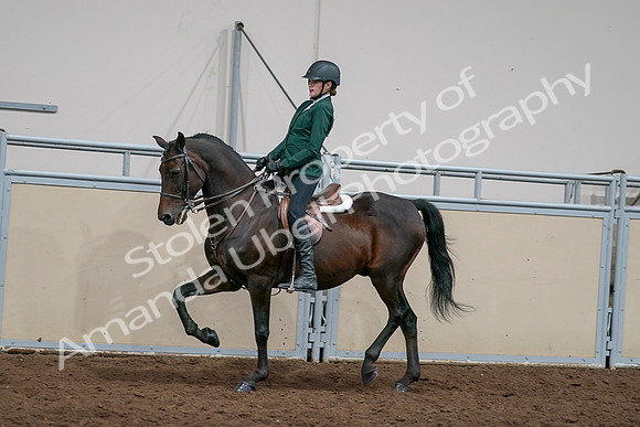 2020 - AB Morgan Horse - Sat, Sept 05 - 05045