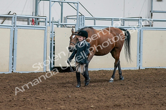2020 - AB Morgan Horse - Fri, Sept 04 - 00858