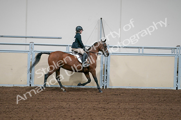 2020 - AB Morgan Horse - Fri, Sept 04 - 02141