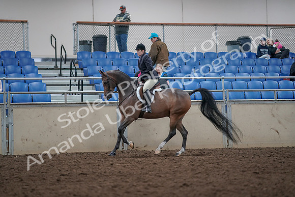 2019 Morgan Horse Show - Aug 31, 2019 - 15982