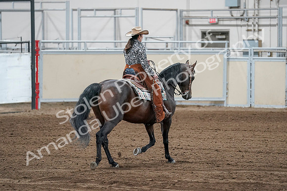 2020 - AB Morgan Horse - Fri, Sept 04 - 00443