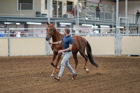 2020 - AB Morgan Horse - Sat, Sept 05 - 00177