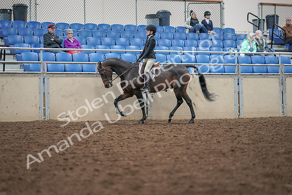2019 Morgan Horse Show - Aug 30, 2019 - 20297