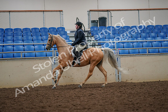 2019 Morgan Horse Show - Aug 30, 2019 - 22371