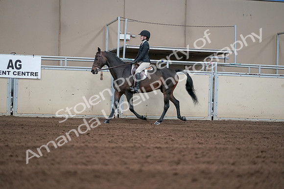 2019 Morgan Horse Show - Sept 01, 2019 - 03672