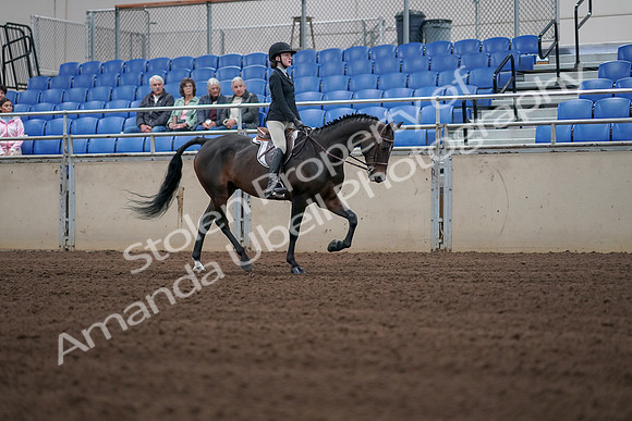 2019 Morgan Horse Show - Sept 01, 2019 - 03923