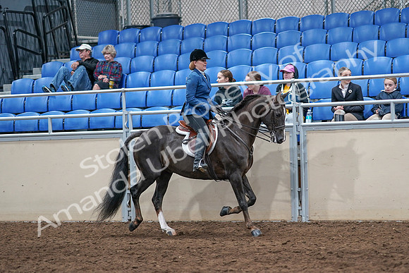 2020 - AB Morgan Horse - Sat, Sept 05 - 05089