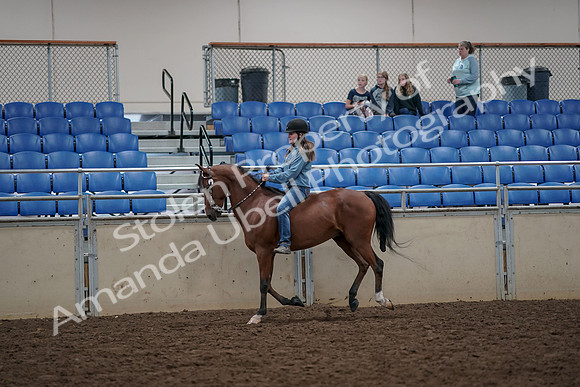 2019 Morgan Horse Show - Aug 30, 2019 - 31312