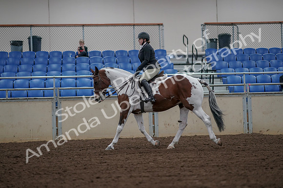 2019 Morgan Horse Show - Aug 30, 2019 - 14933