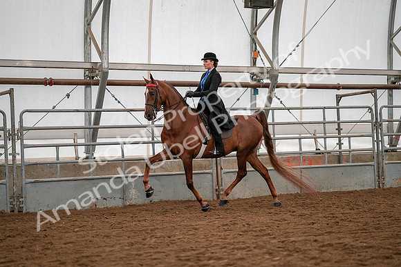 July 19, 2019 - 10457