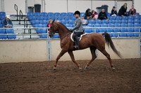2019 Morgan Horse Show - Aug 31, 2019 - 13783