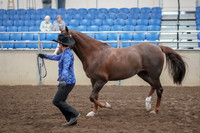 2019 Morgan Horse Show - Aug 31, 2019 - 02923