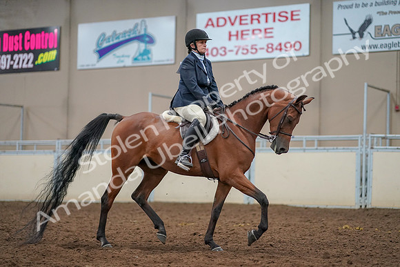 2019 Morgan Horse Show - Aug 30, 2019 - 22600