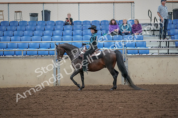 2019 Morgan Horse Show - Aug 30, 2019 - 25889