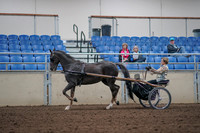 2019 Morgan Horse Show - Aug 31, 2019 - 10267