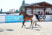 2024 - WCB - July 18 - 02847