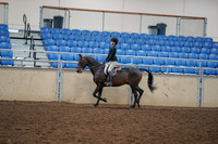2019 Morgan Horse Show - Aug 30, 2019 - 12139