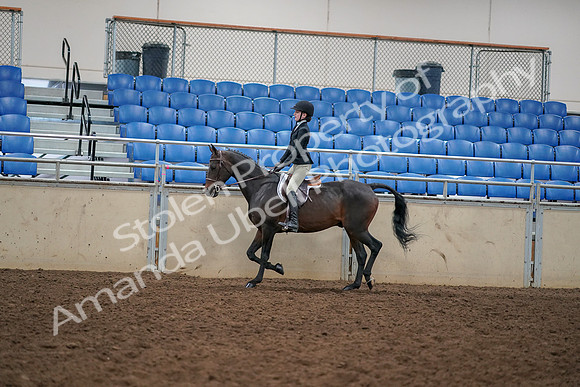 2019 Morgan Horse Show - Aug 30, 2019 - 12139