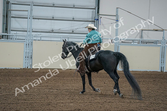 2020 - AB Morgan Horse - Fri, Sept 04 - 00624