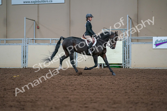 2019 Morgan Horse Show - Aug 30, 2019 - 20776