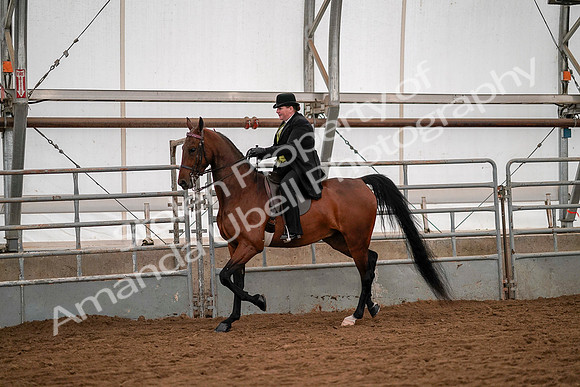 July 19, 2019 - 10267