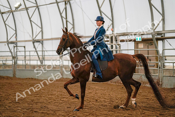 July 19, 2019 - 8834