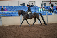 2019 Morgan Horse Show - Aug 30, 2019 - 19862