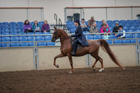 2019 Morgan Horse Show - Aug 30, 2019 - 26773