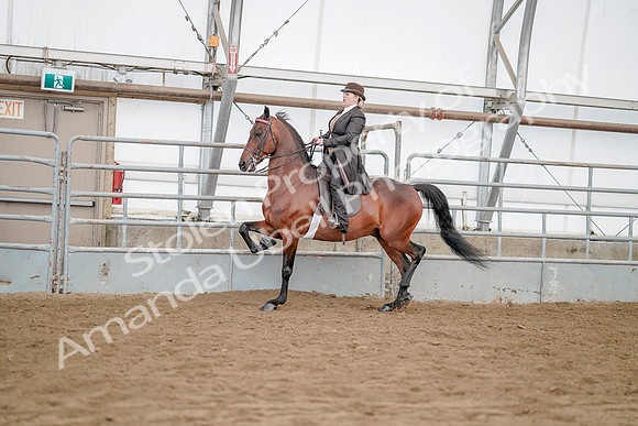 July 21, 2019 - 12077