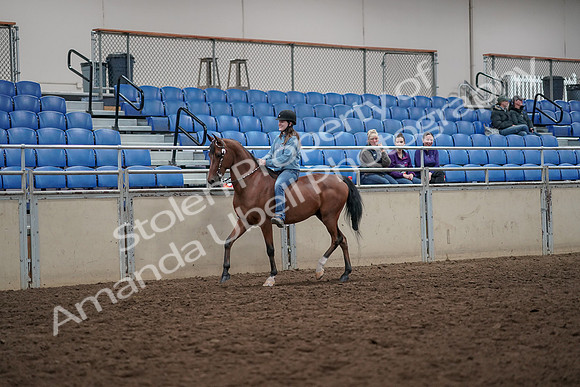 2019 Morgan Horse Show - Aug 30, 2019 - 31081