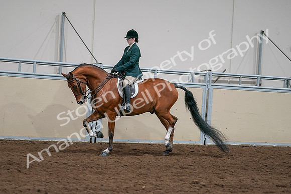 2020 - AB Morgan Horse - Sat, Sept 05 - 05016