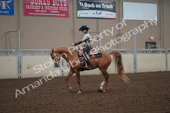 2019 Morgan Horse Show - Aug 30, 2019 - 26049