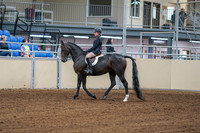 2020 - AB Morgan Horse - Fri, Sept 04 - 01991