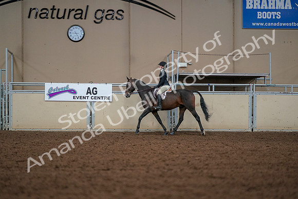 2019 Morgan Horse Show - Aug 30, 2019 - 23235