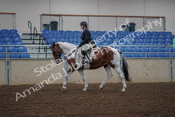 2019 Morgan Horse Show - Aug 30, 2019 - 14916