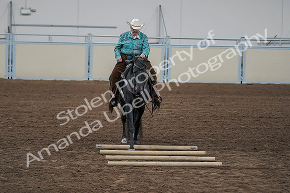 2020 - AB Morgan Horse - Fri, Sept 04 - 00515