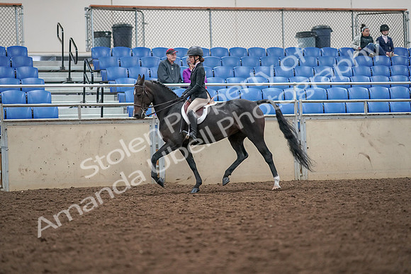 2019 Morgan Horse Show - Aug 30, 2019 - 20095