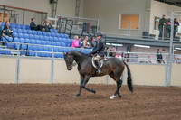 2020 - AB Morgan Horse - Sun, Sept 06 - 00880