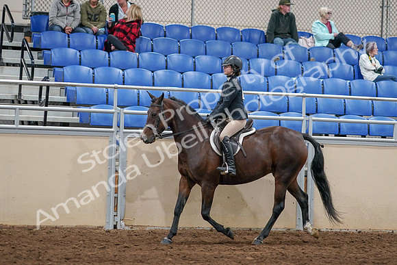 2020 - AB Morgan Horse - Sat, Sept 05 - 14260