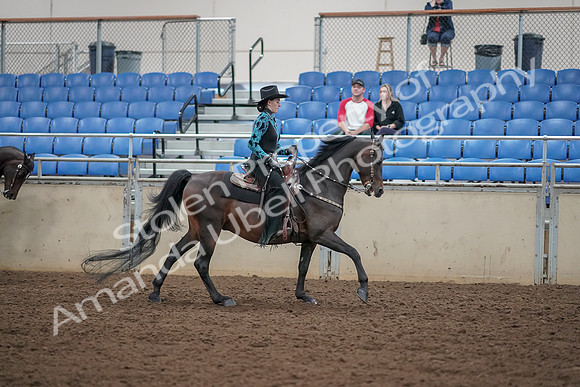 2019 Morgan Horse Show - Aug 30, 2019 - 26173