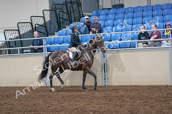 2020 - AB Morgan Horse - Sat, Sept 05 - 05122