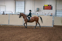 2020 - AB Morgan Horse - Fri, Sept 04 - 01996