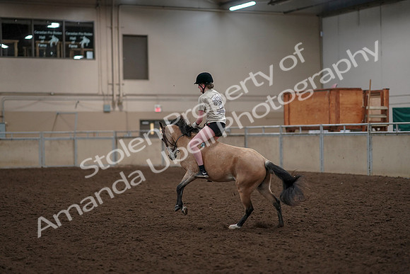 2019 Morgan Horse Show - Aug 30, 2019 - 31250